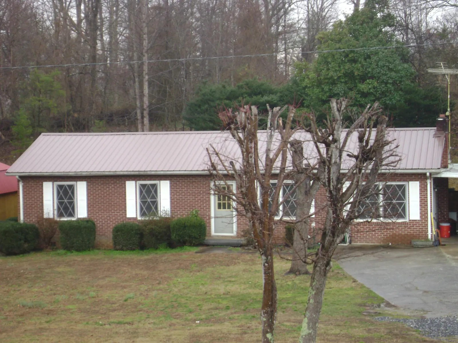 Mauve metal roof on a brick ranch home behind bare trees in Lakeland